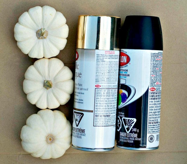 FishlynewsSprayPaintPumpkin